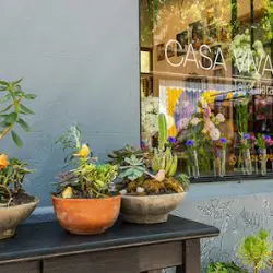 Casa Viva - Taller Floral