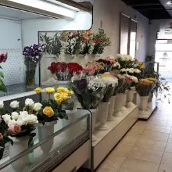 Center Flowers S.a.
