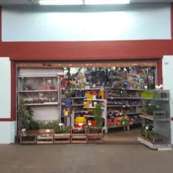 Devo Toys