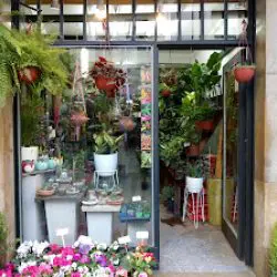 El Jardín De Anchorena