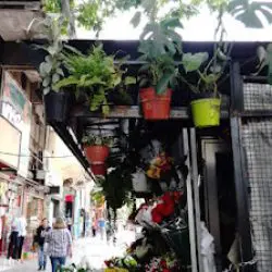 El Jardin De Don Eduardo