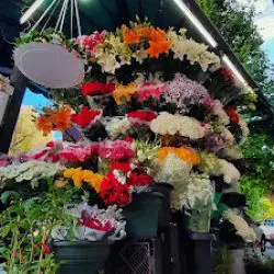 Ferdinand Flower