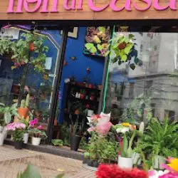 Fiori Di Casa