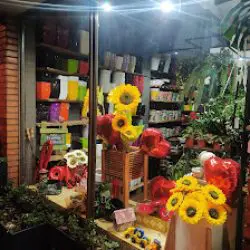 Florería Artedeco Garden & House Flowers And Botanic