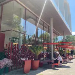 Florería Betular