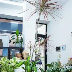 Floreria Blooming 예쁜집flowershop