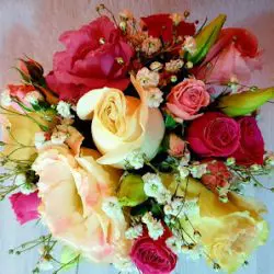 Florería Dione
