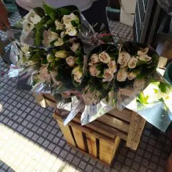 Florería Falcón