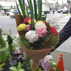 Florería Flores Naturales