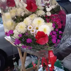 Floreria