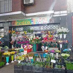 Florería Pedro