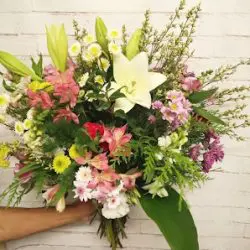 Florería Reviens