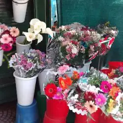 Florería Triunvirato