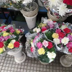 Florería Viedma
