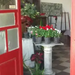 Flores Melincué