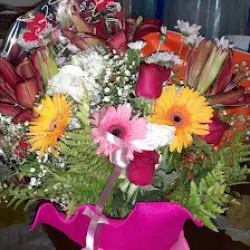 Floricultura Obera