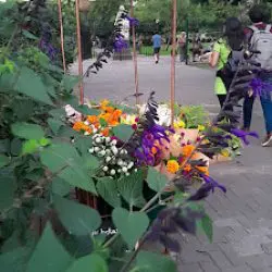 Haiku - Florería Itinerante -
