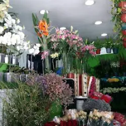 Héctor Camacho Mayorista En Flores