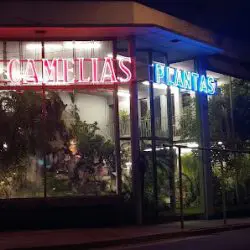 Las Camelias