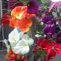 Las Violetas