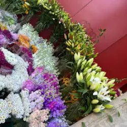 Nequifloreale