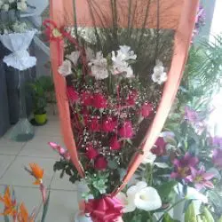 Otero