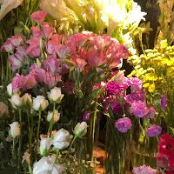 Pick Me Flowers