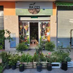 Raices Dyp