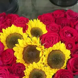 Reina Floristería