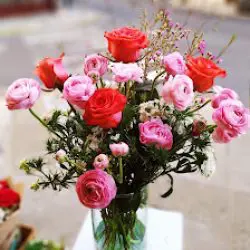 Veronequi Flores Y Plantas