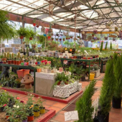 Vivero El Jardín De Las Flores