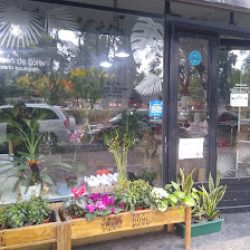 Almacén De Flores.