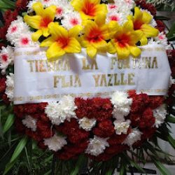 Amaly Flowers, Local N°6