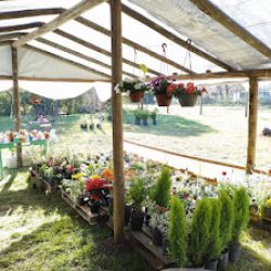 Amankay Vivero