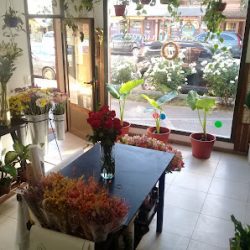 Amaranto Flores & Aromas