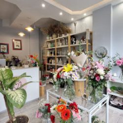 Amour Floristería