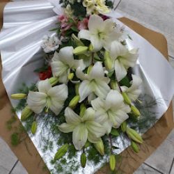 April Flowers