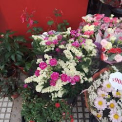 Aromas De Haedo