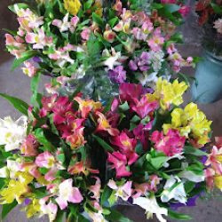 Arte Flor