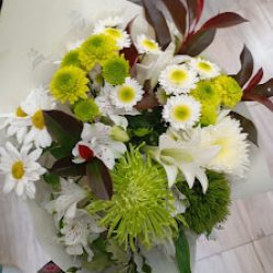Artemisa Flores Y Deco