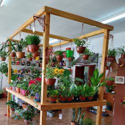 Azahares Boutique Floral