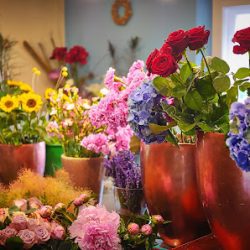 Beiaflor Tienda On Line De Flores Plantas Y Regalos