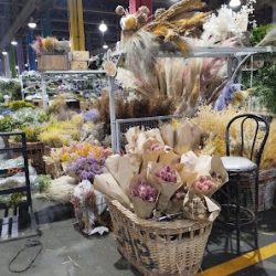 Cooperativa Argentina De Floricultores