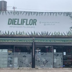 Dieliflor Mayorista De Flores Artificiales