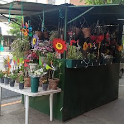 Díselo Con Flores