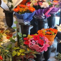 Edgardo Vela Flores Y Plantas