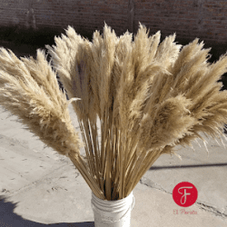 El Florista Paraná