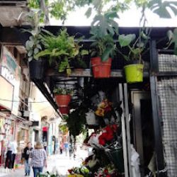 El Jardin De Don Eduardo