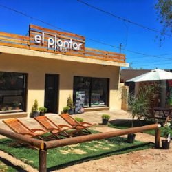 El Plantar, Vivero