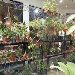 El Portal De Las Plantas
